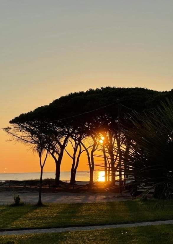 La Perla Del Mare Bed & Breakfast La Caletta Bagian luar foto